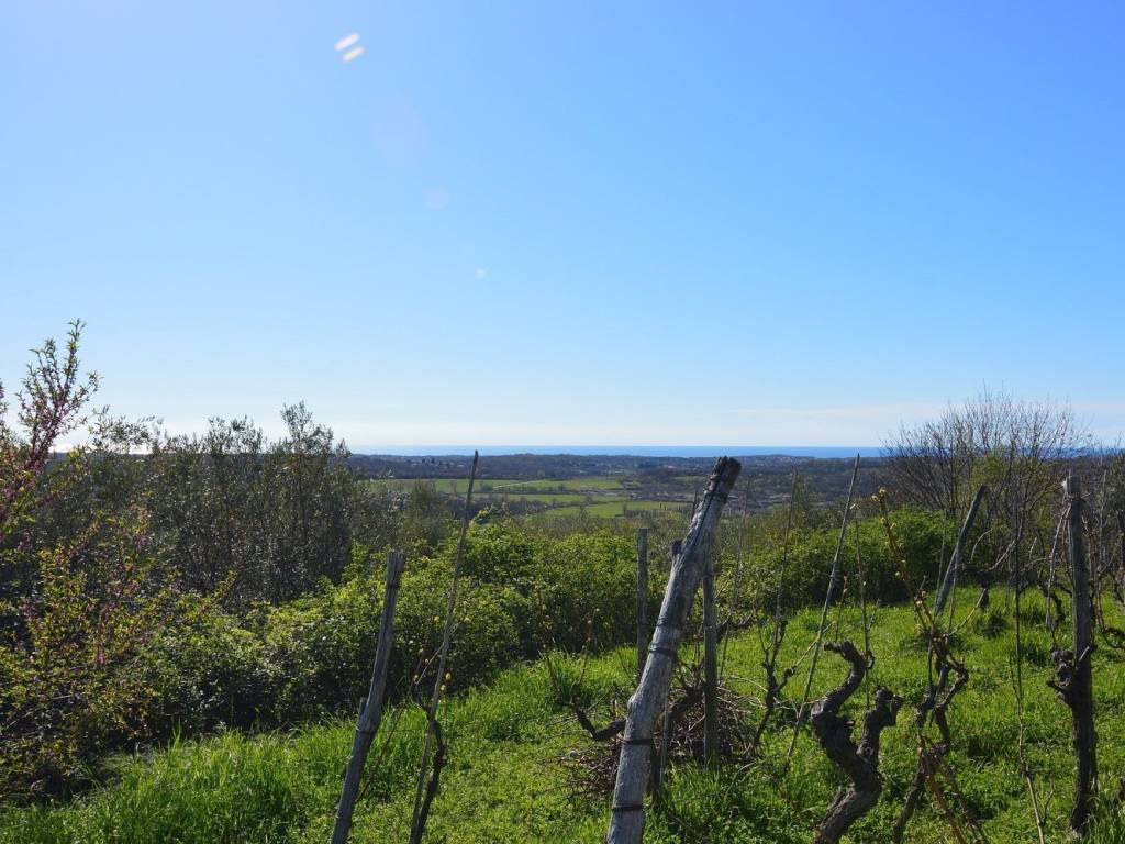 Plot for construction, Sale, Buje, Buje