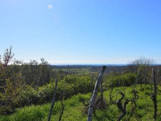 Gradevinsko zemljište, Prodaja, Buje, Buje