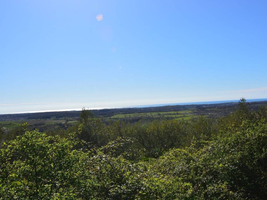 Plot for construction, Sale, Buje, Buje