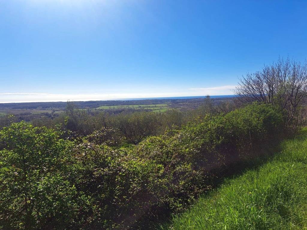 Plot for construction, Sale, Buje, Buje