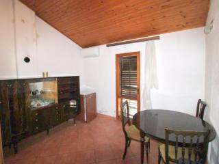 Detached house, Sale, Poreč, Poreč