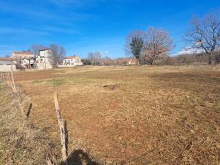 Plot for construction, Sale, Višnjan, Višnjan