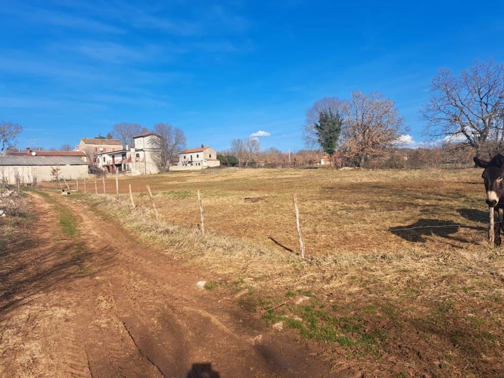 Plot for construction, Sale, Višnjan, Višnjan