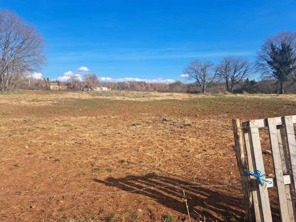 Plot for construction, Sale, Višnjan, Višnjan