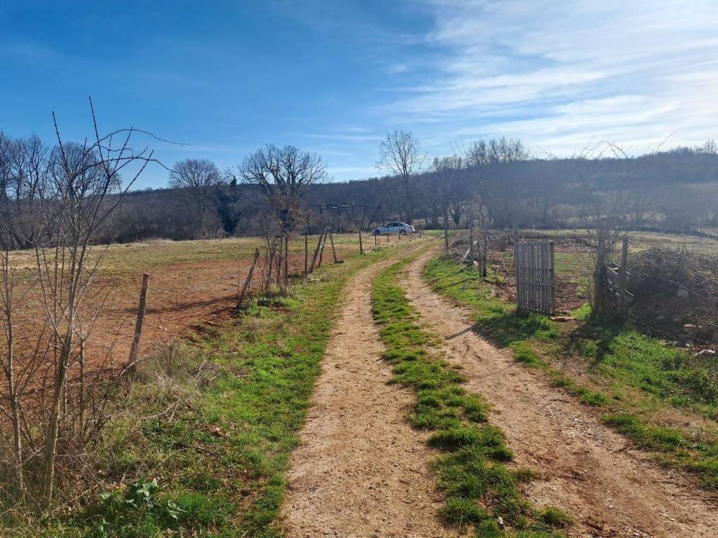 Plot for construction, Sale, Višnjan, Višnjan