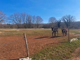 Plot for construction, Sale, Višnjan, Višnjan
