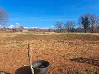 Plot for construction, Sale, Višnjan, Višnjan