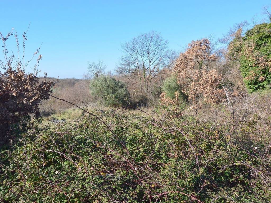 Plot for construction, Sale, Sveti Lovreč, Sveti Lovreč
