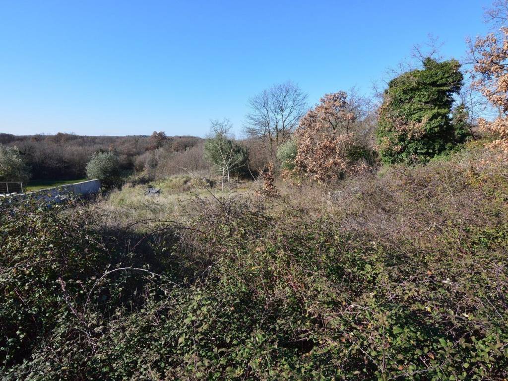 Plot for construction, Sale, Sveti Lovreč, Sveti Lovreč