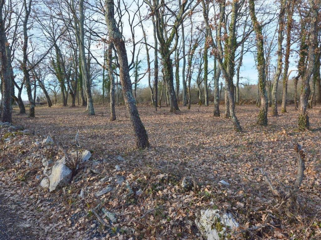 Plot for construction, Sale, Tinjan, Jakovici