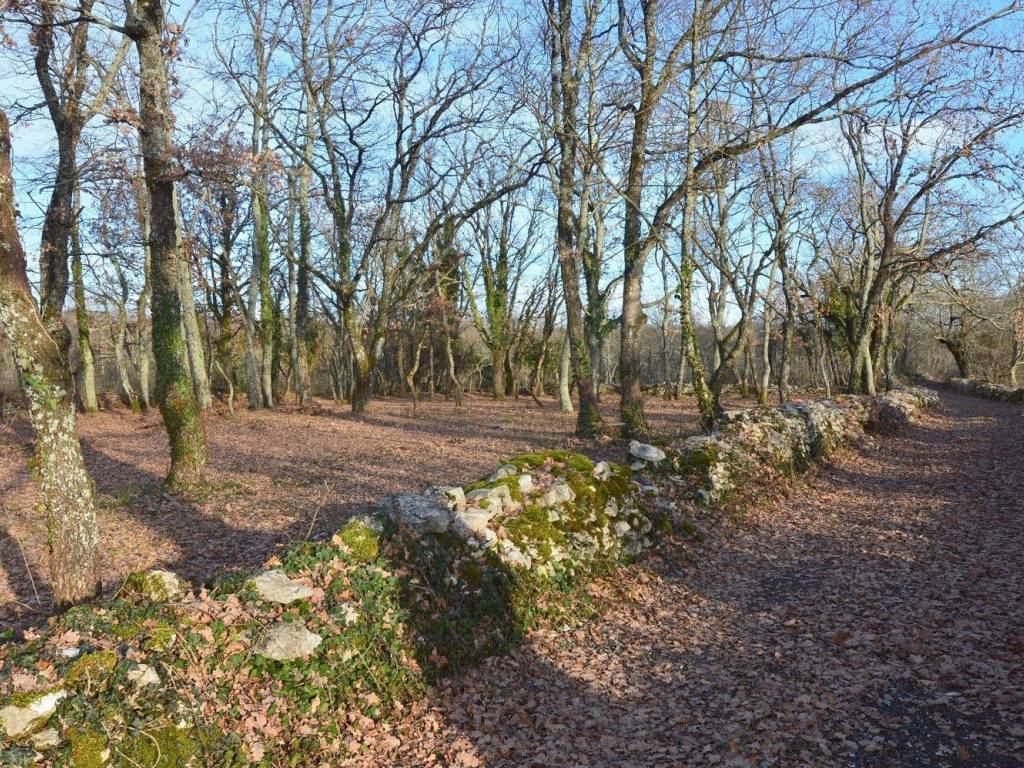 Plot for construction, Sale, Tinjan, Jakovici