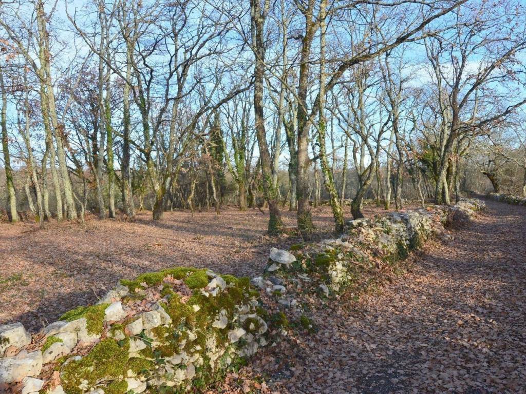 Plot for construction, Sale, Tinjan, Jakovici