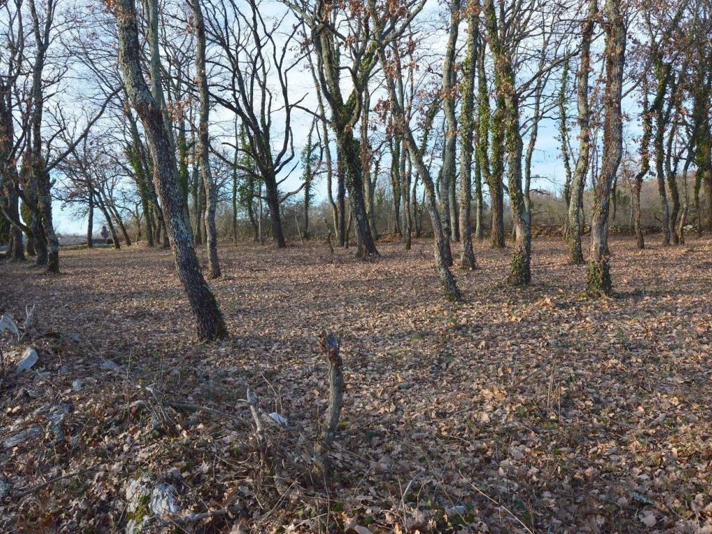 Plot for construction, Sale, Tinjan, Jakovici