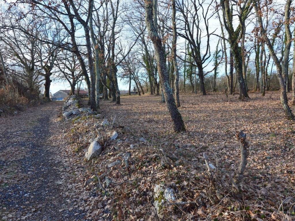 Plot for construction, Sale, Tinjan, Jakovici