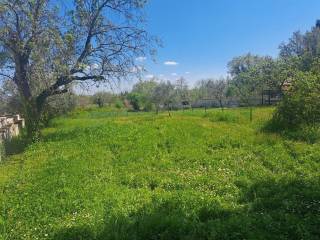 Industrial land plot, Sale, Tar-Vabriga, Tar