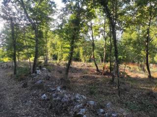 Gradevinsko zemljište, Prodaja, Višnjan, Višnjan