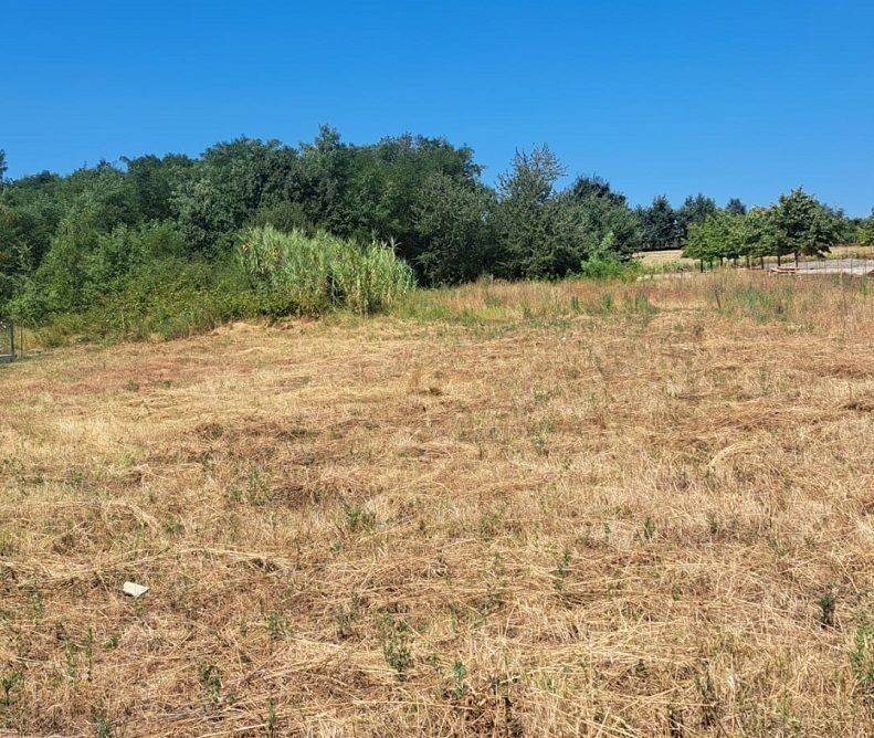 Plot for construction, Sale, Kaštelir-Labinci, Kaštelir