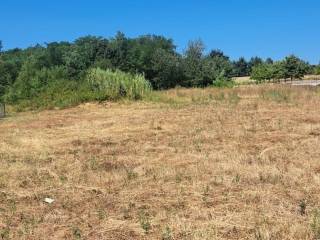 Plot for construction, Sale, Kaštelir-Labinci, Kaštelir
