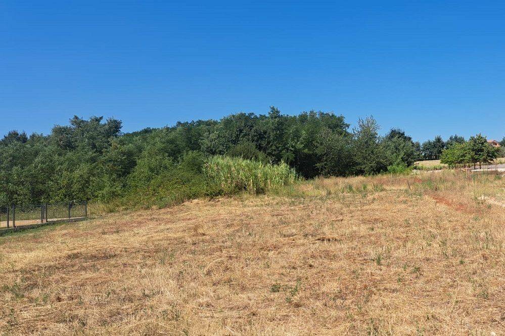 Plot for construction, Sale, Kaštelir-Labinci, Kaštelir