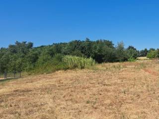Plot for construction, Sale, Kaštelir-Labinci, Kaštelir
