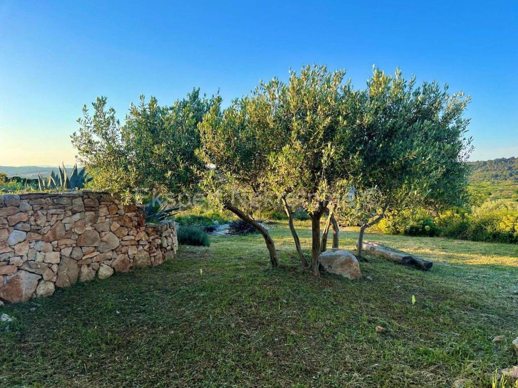 Plot for construction, Sale, Šolta, Grohote