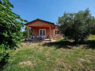 One-storey house, Sale, Marčana, Veliki Vareški
