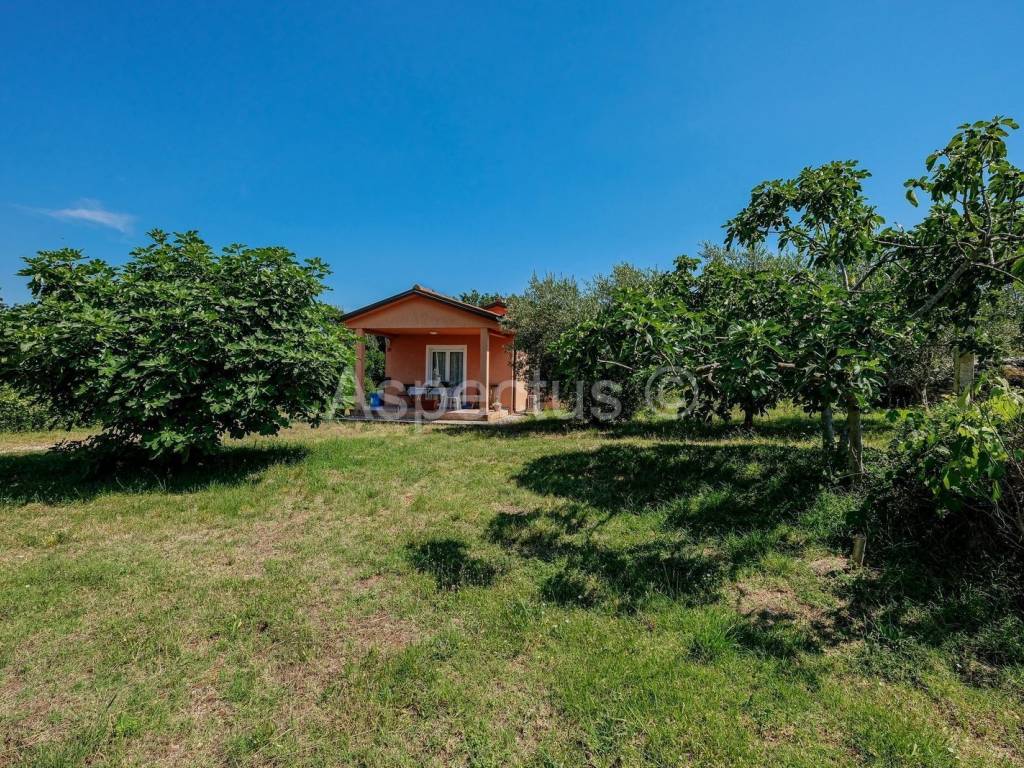 One-storey house, Sale, Marčana, Veliki Vareški