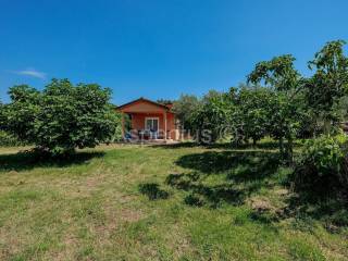 One-storey house, Sale, Marčana, Veliki Vareški
