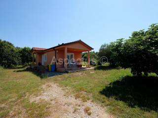 One-storey house, Sale, Marčana, Veliki Vareški