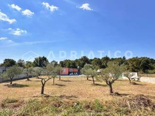 Detached house, Sale, Rovinj, Rovinj