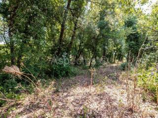Plot for construction, Sale, Marčana, Marčana
