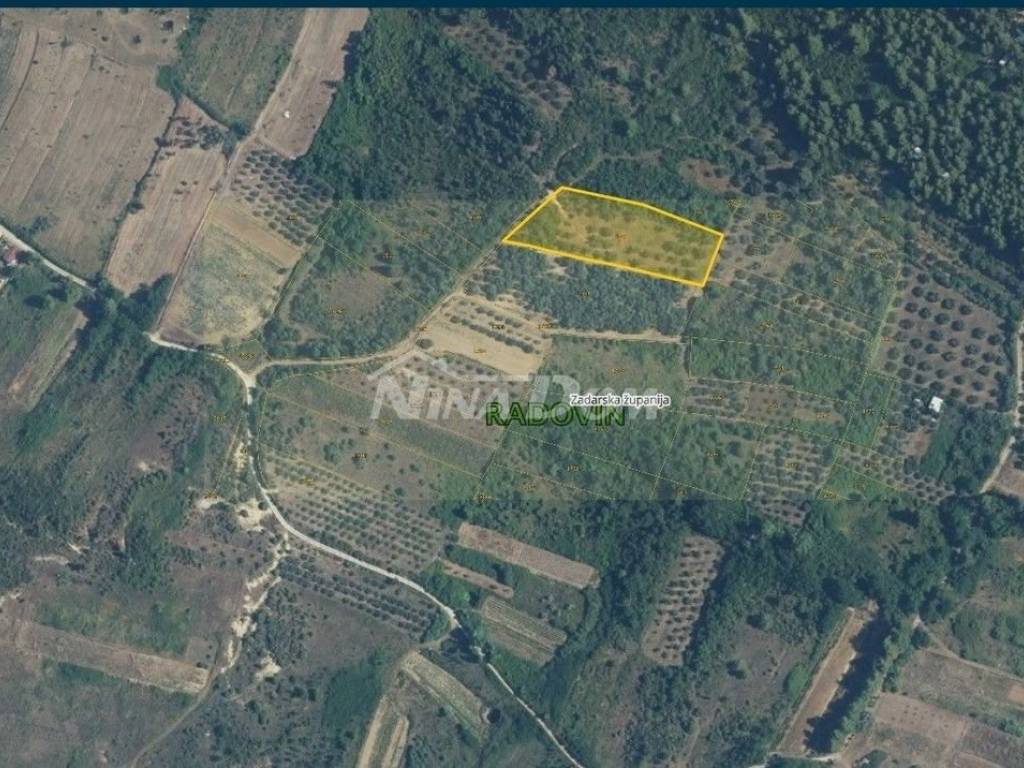 Agricultural plot, Sale, Ražanac, Radovin