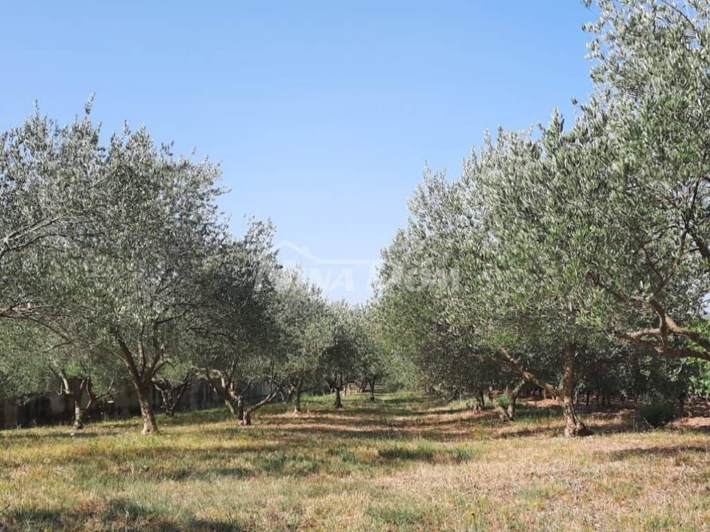 Plot for construction, Sale, Novigrad, Pridraga