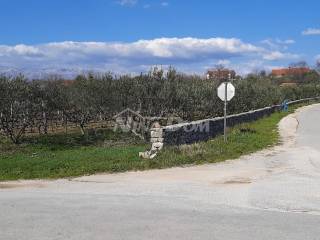 Plot for construction, Sale, Novigrad, Pridraga