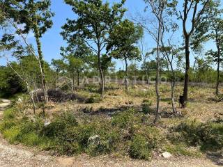 Agricultural plot, Sale, Bale, Bale
