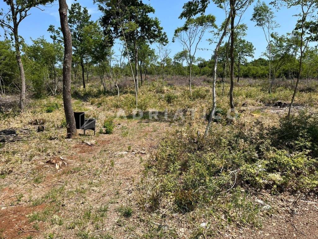 Agricultural plot, Sale, Bale, Bale