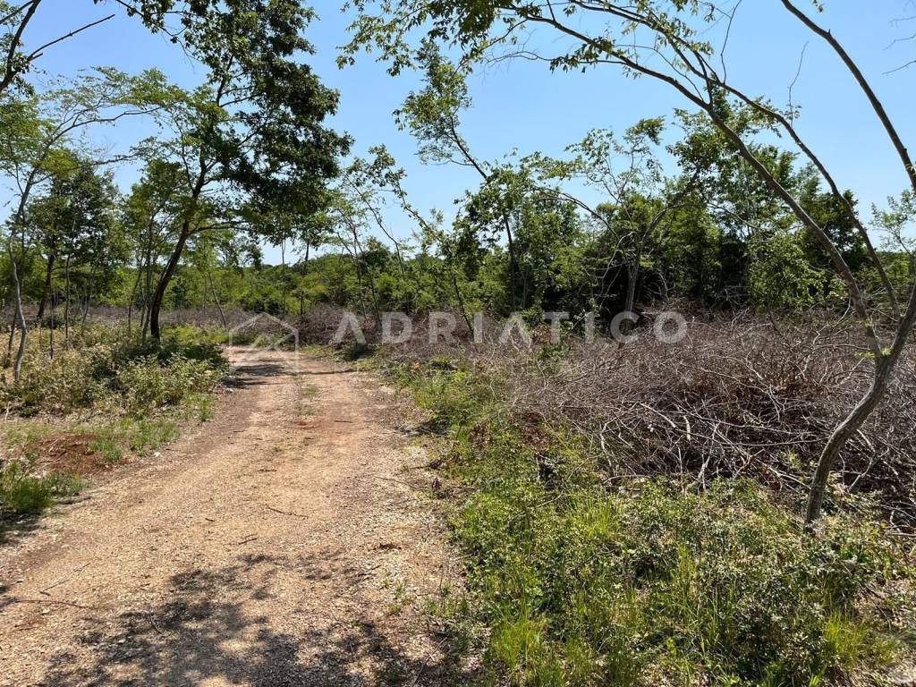 Agricultural plot, Sale, Bale, Bale