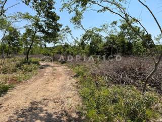Agricultural plot, Sale, Bale, Bale