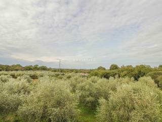 Family house, Sale, Pula, Pula