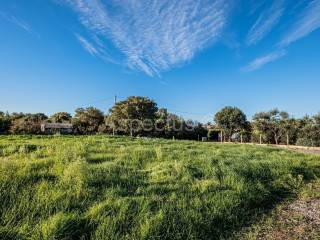 Plot for construction, Sale, Marčana, Loborika
