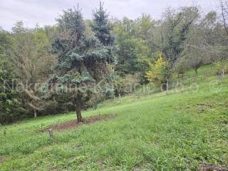 Weekend house, Sale, Čazma, Bojana
