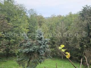 Weekend house, Sale, Čazma, Bojana