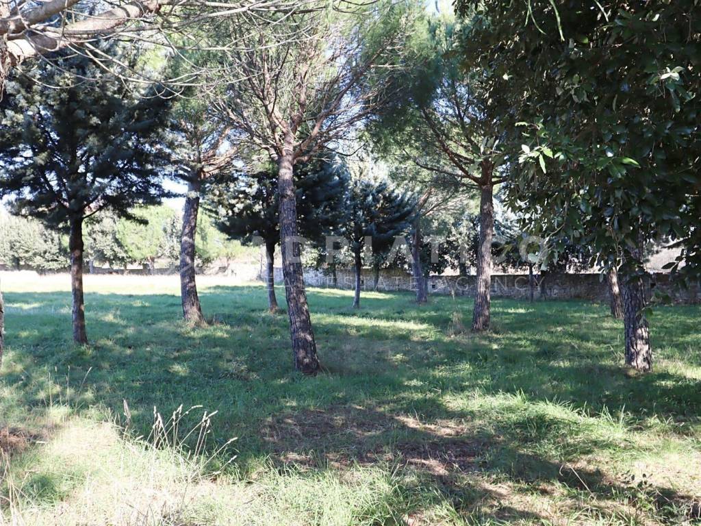 Kamena kuca, Prodaja, Kanfanar, Kanfanar