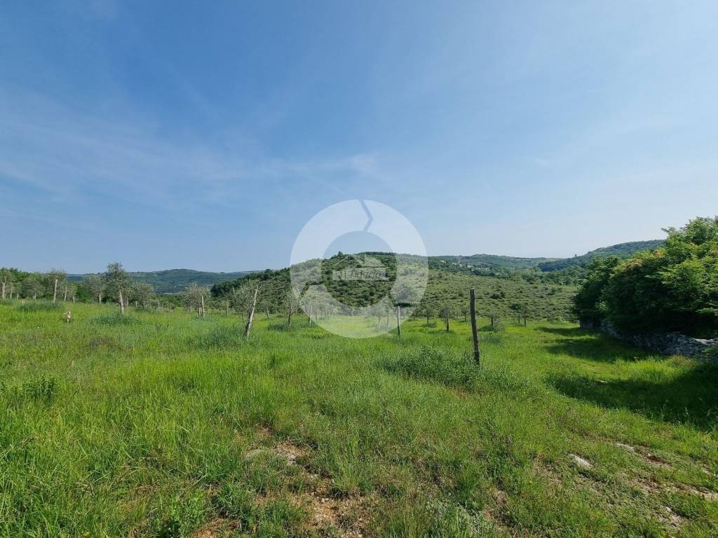 Plot for construction, Sale, Buje, Buje