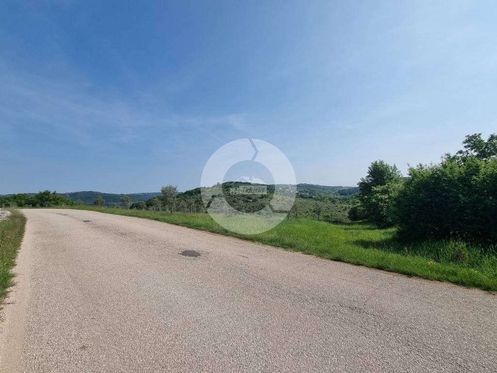 Plot for construction, Sale, Buje, Buje