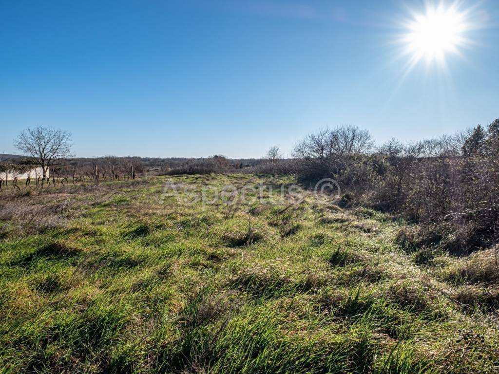 Plot for residential construction, Sale, Marčana, Marčana