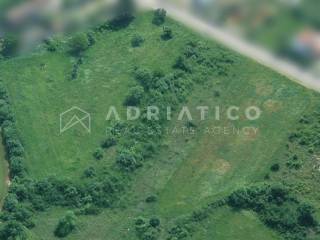 Plot for construction, Sale, Bale, Bale