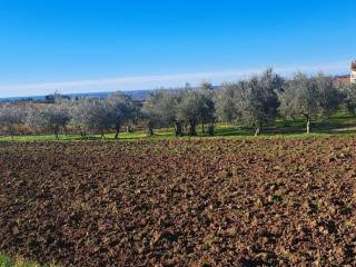 Plot for construction, Sale, Vižinada, Vižinada