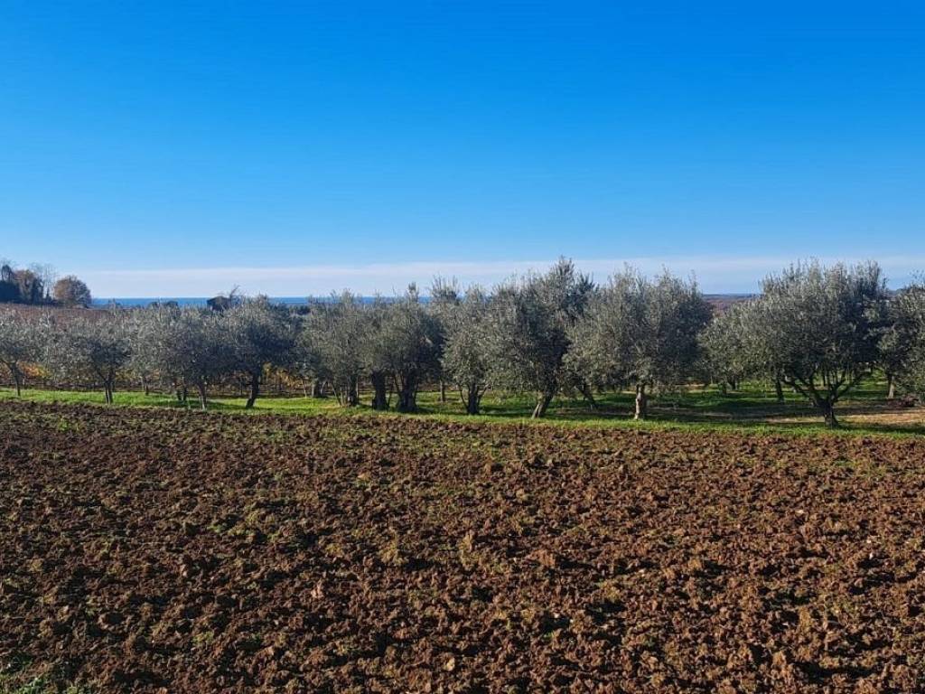 Plot for construction, Sale, Vižinada, Vižinada