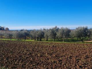 Plot for construction, Sale, Vižinada, Vižinada